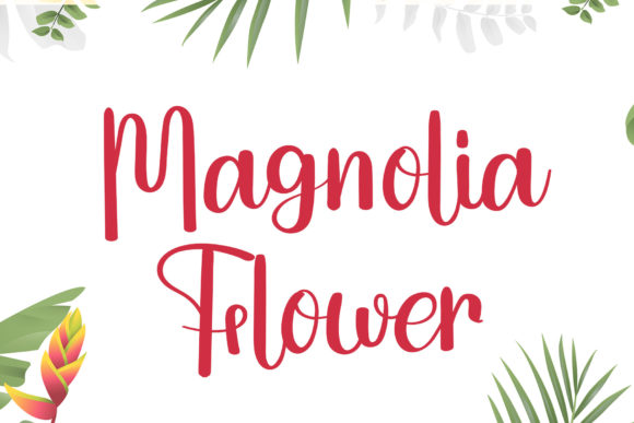 Magnolia Flower: A Script Font Worth Discovering